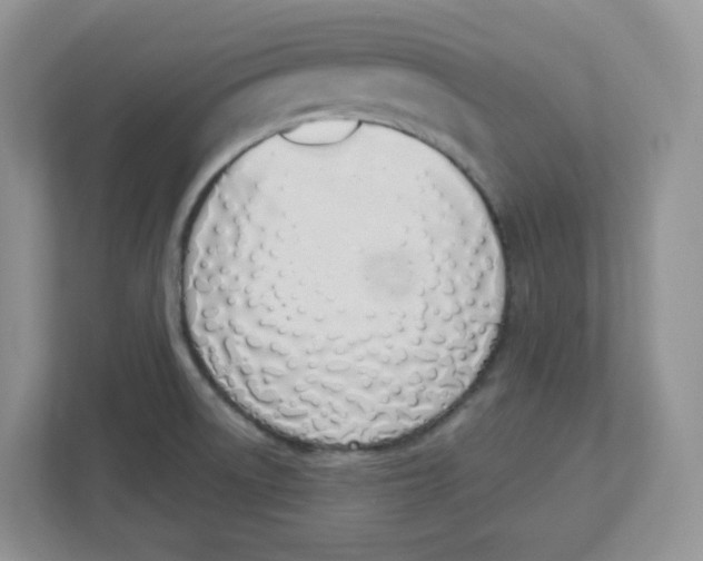 X0000112501522200909141214