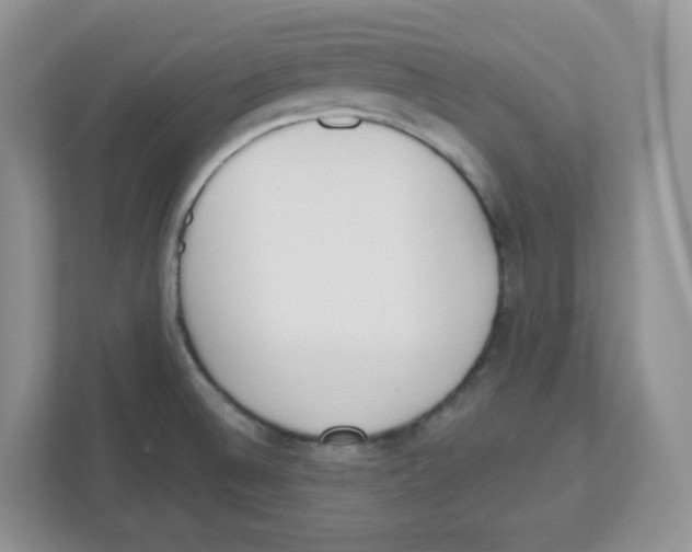 X0000112501524200909141214