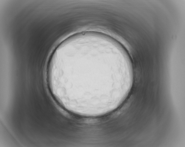 X0000112501525200909141214