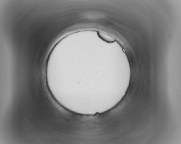 X0000112501526200909141214