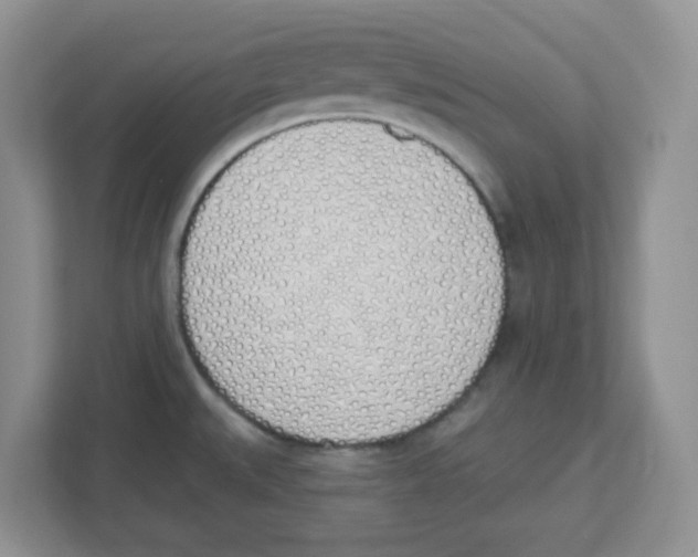 X0000112501527200909141214