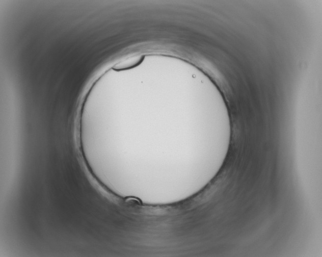 X0000112501528200909141214