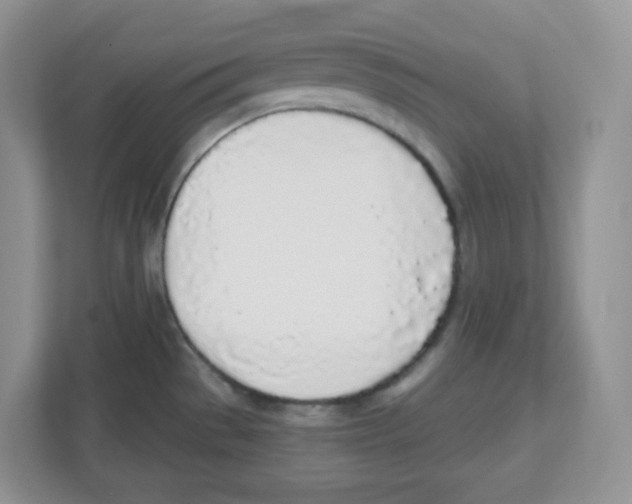 X0000112501529200909141214