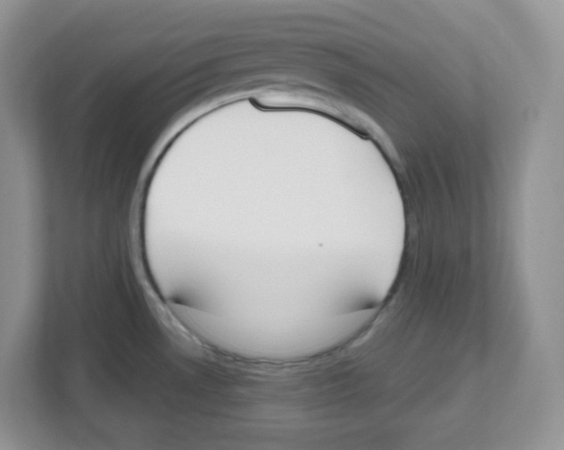 X0000112501530200909141214