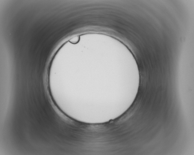 X0000112501531200909141214