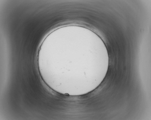 X0000112501532200909141214