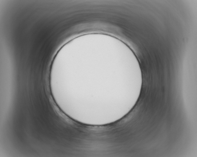 X0000112501534200909141214