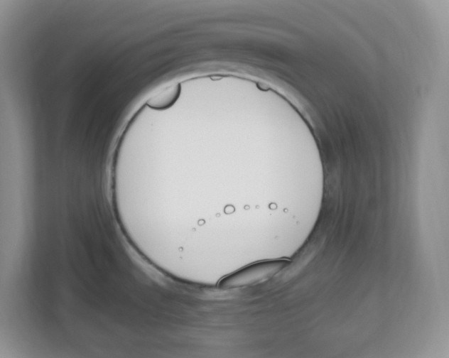 X0000112501535200909141214