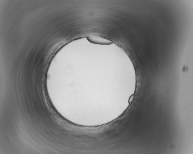 X0000112500001200909281208