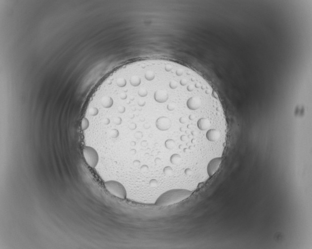 X0000112500002200909281208