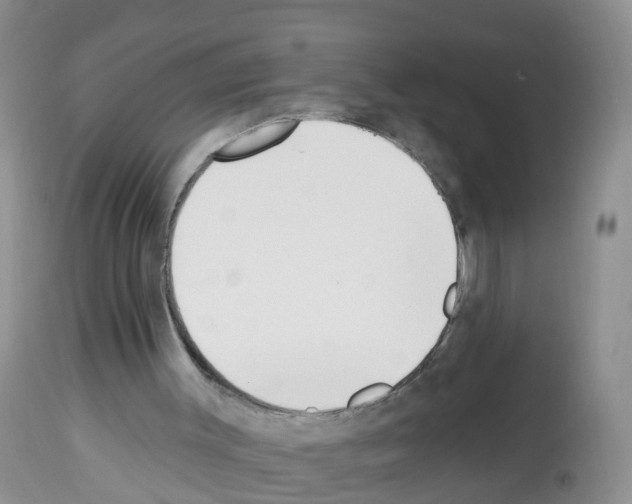 X0000112500003200909281208