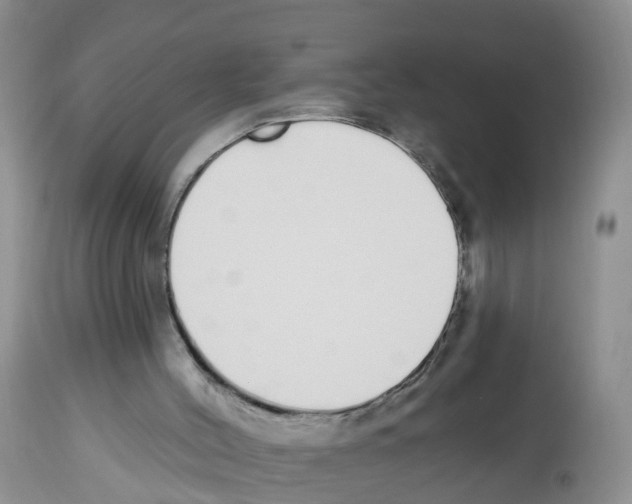 X0000112500004200909281208