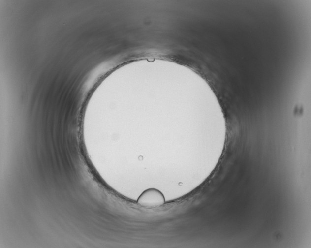 X0000112500006200909281208