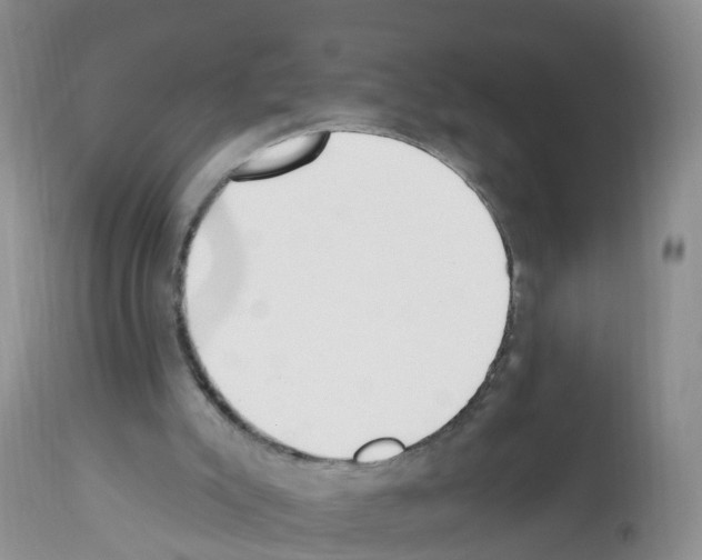 X0000112500007200909281208