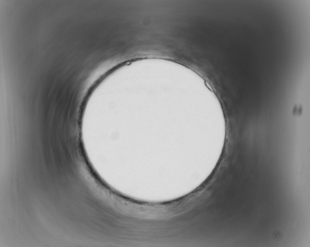 X0000112500008200909281208