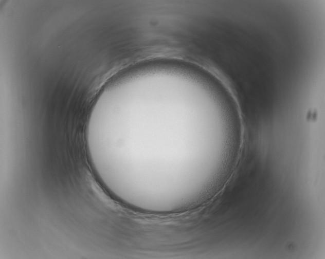 X0000112500009200909281208