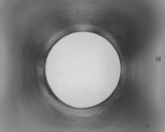 X0000112500010200909281208