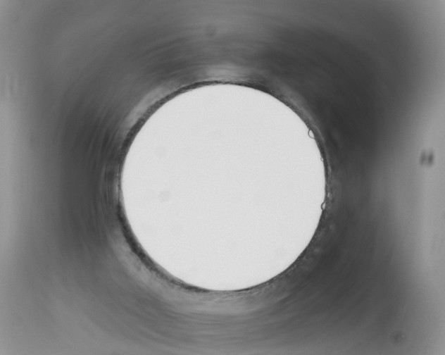 X0000112500011200909281208