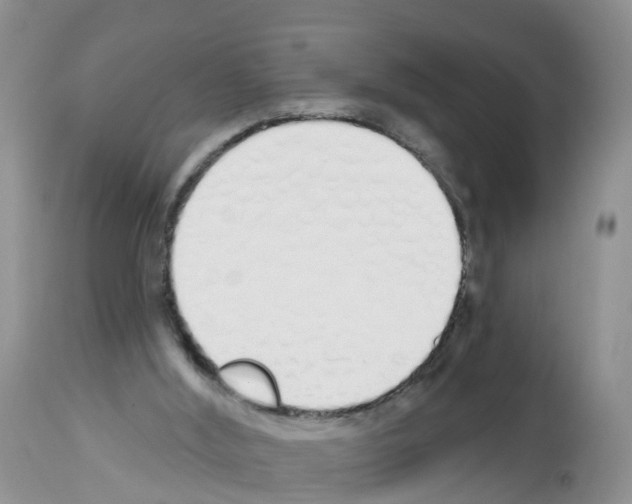 X0000112500012200909281208