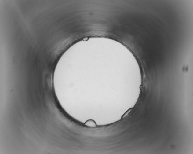 X0000112500013200909281208