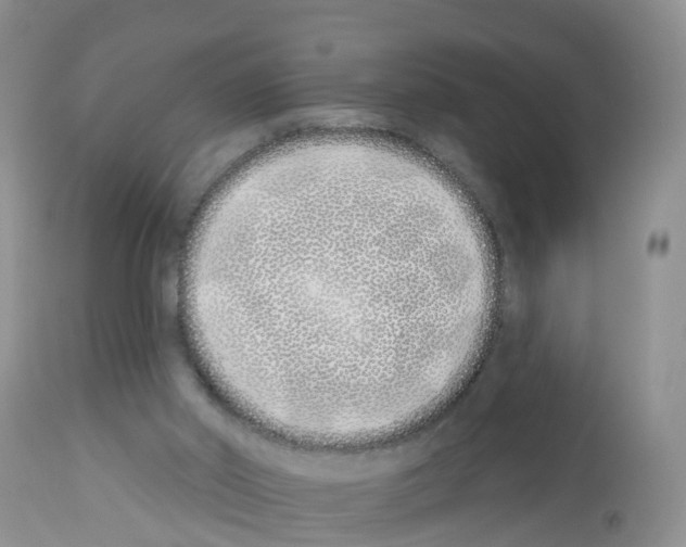 X0000112500014200909281208