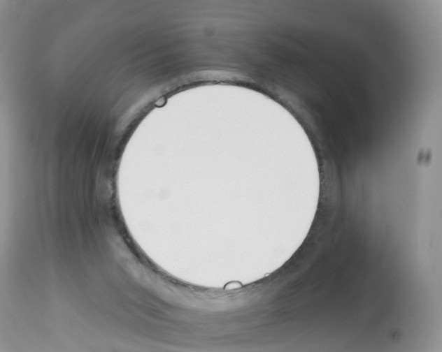 X0000112500015200909281208