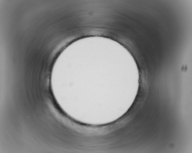 X0000112500016200909281208