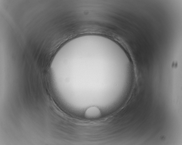 X0000112500017200909281208