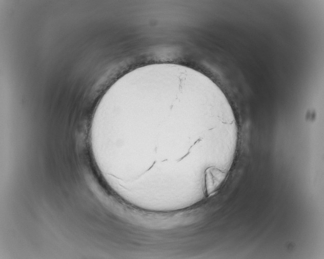 X0000112500018200909281208