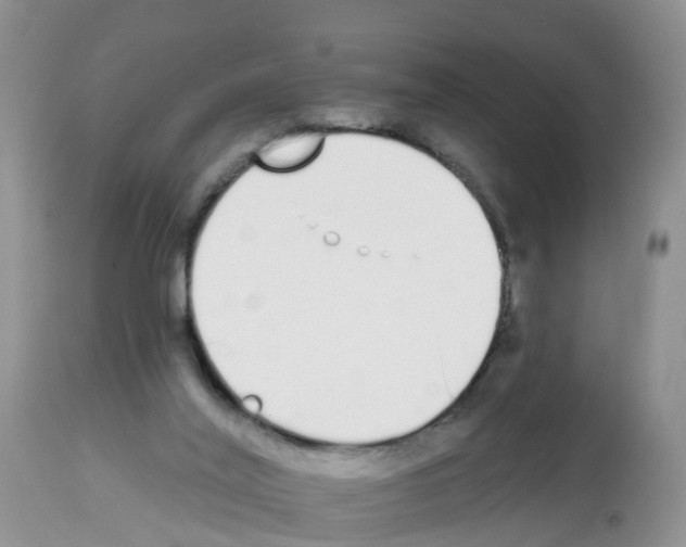 X0000112500020200909281208