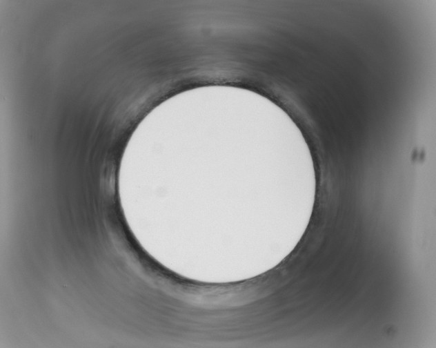 X0000112500021200909281208