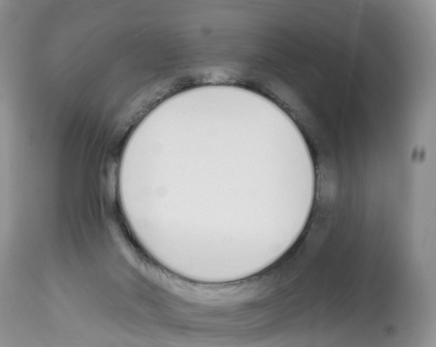 X0000112500022200909281208