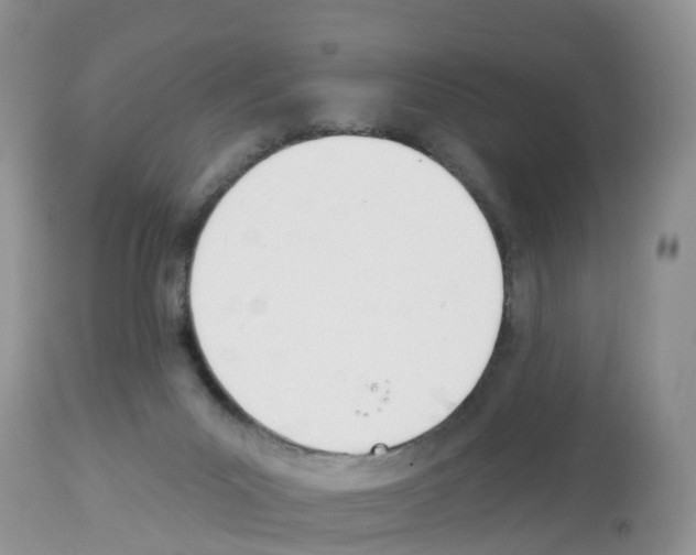 X0000112500023200909281208