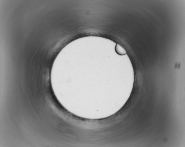 X0000112500024200909281208