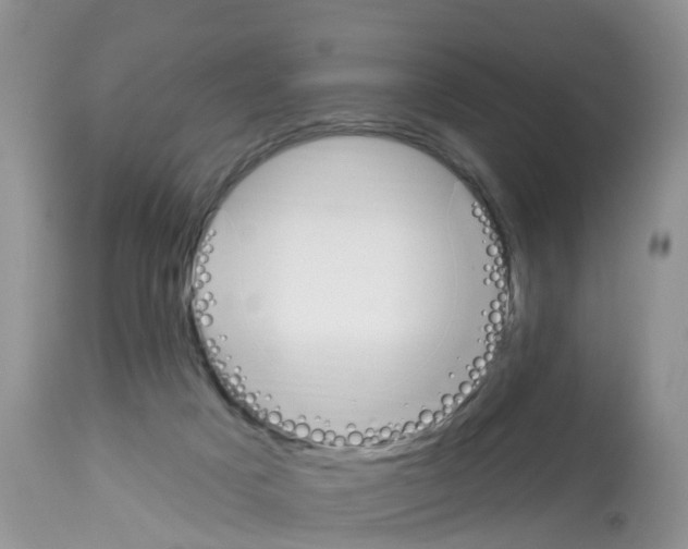 X0000112500025200909281208