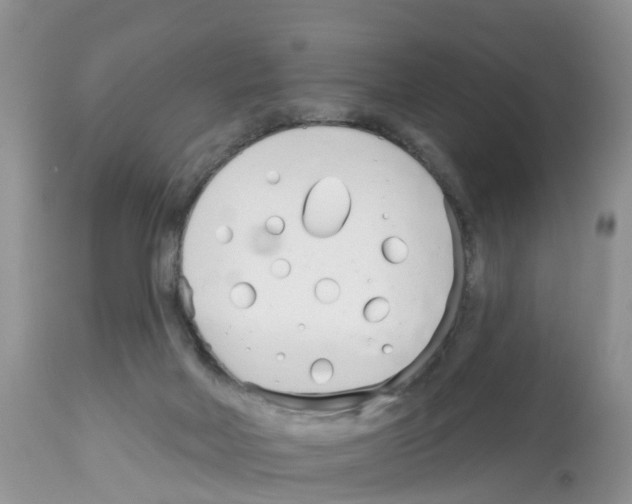 X0000112500026200909281208