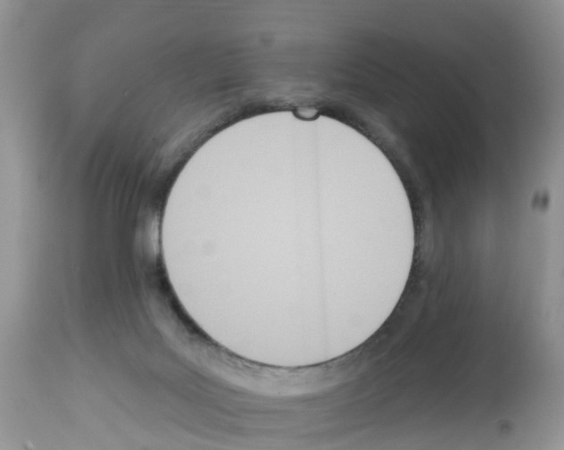 X0000112500027200909281208