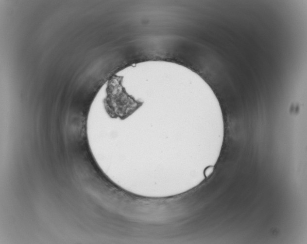 X0000112500029200909281208