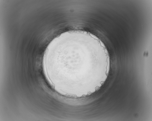 X0000112500030200909281208