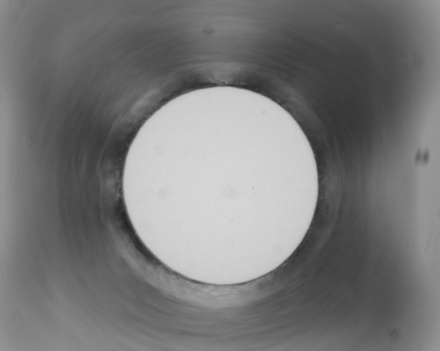 X0000112500031200909281208