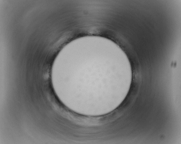 X0000112500032200909281208