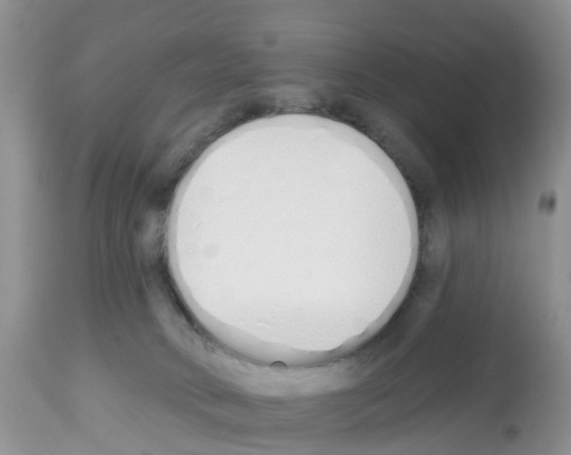 X0000112500034200909281208