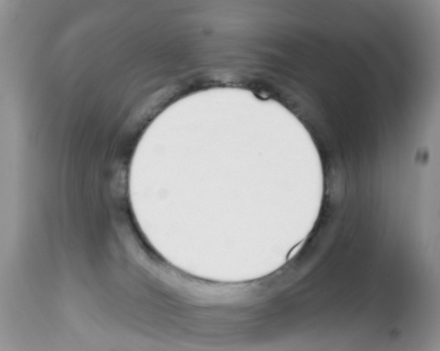 X0000112500036200909281208