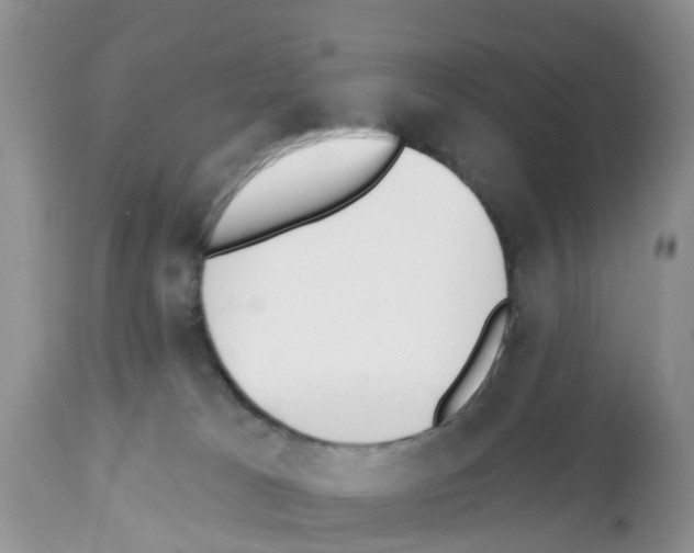 X0000112500037200909281208