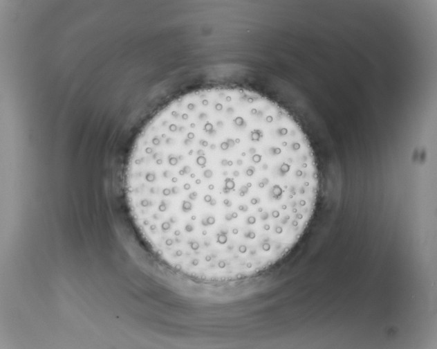 X0000112500038200909281208