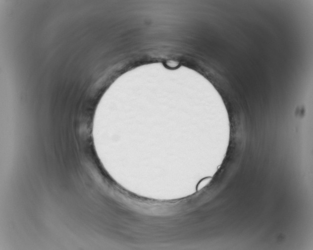 X0000112500040200909281208