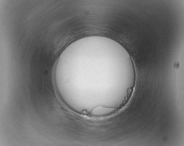 X0000112500041200909281208