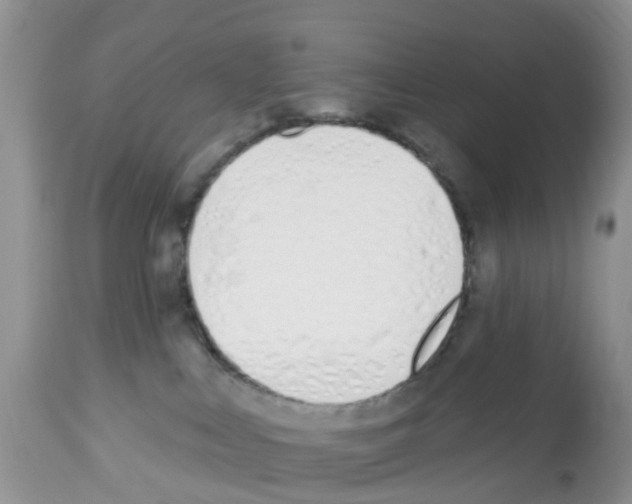 X0000112500043200909281208