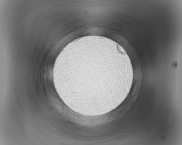 X0000112500046200909281208