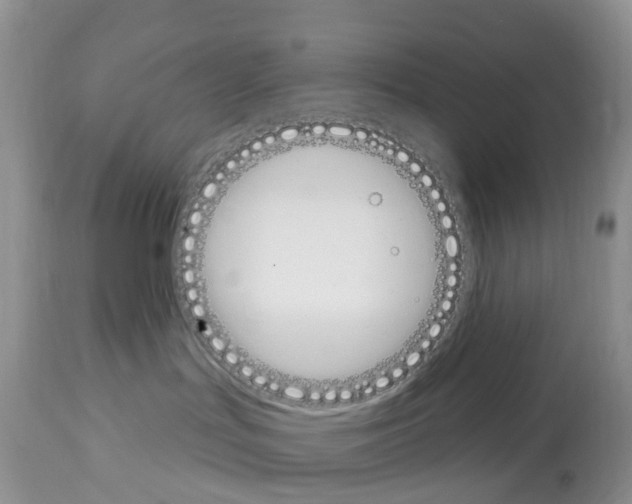 X0000112500047200909281208